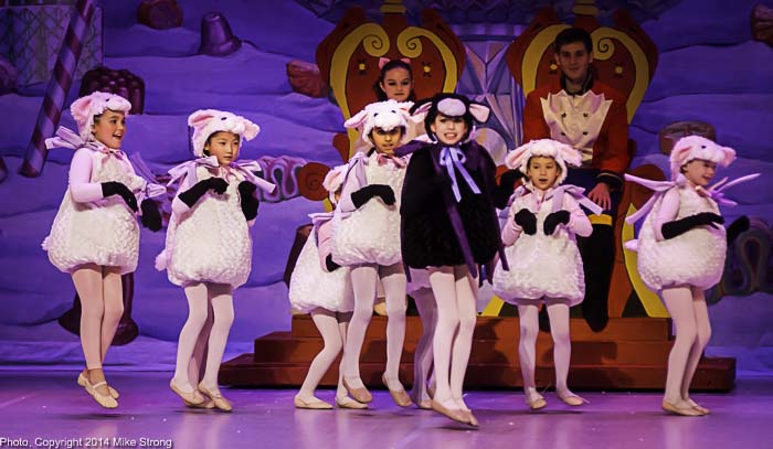 Sheep, a new addition to the cast of characters in 2014: The Black Licorice Sheep is Ximena Flores and the Cotton Candy sheep are: Alice Lenz, Janeisha Nayak , Kristiana Moore, Lily Brewer, Linnaea Xie, Vivian Hsiao, Maddie Vielhauer and Ellie Johnson