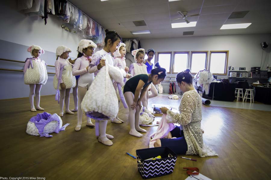 Jennifer Tierney fitting dancers into their sheep costumes